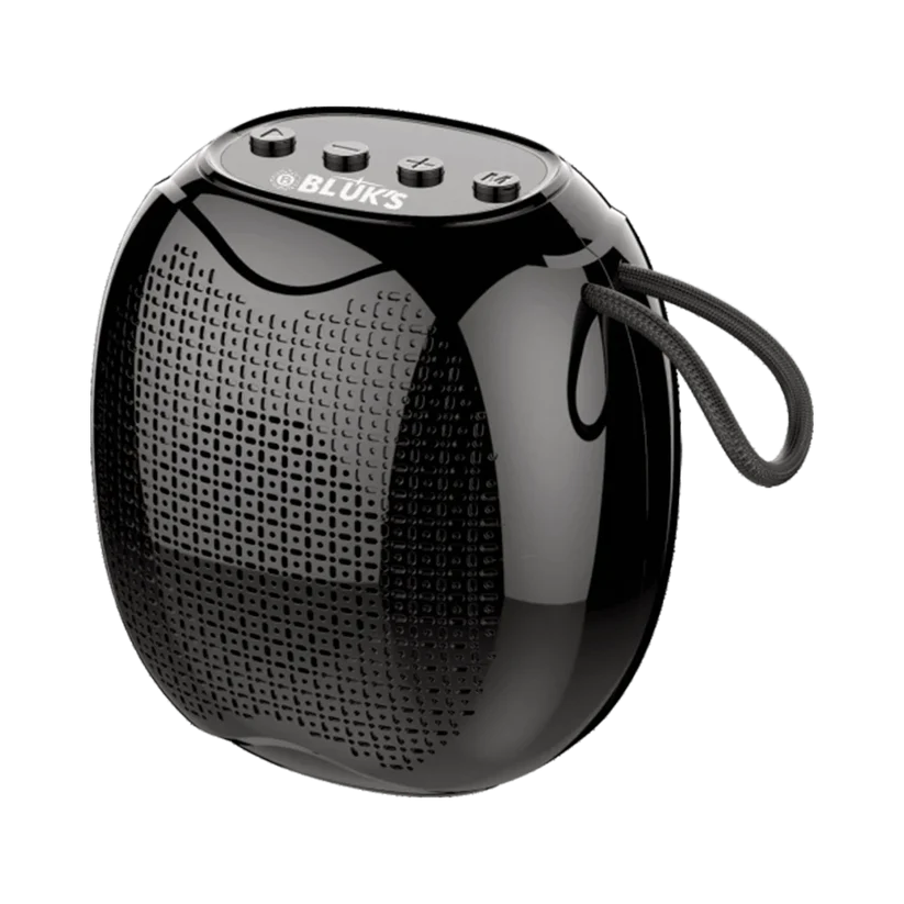 BX-171 Portable Wireless Speaker